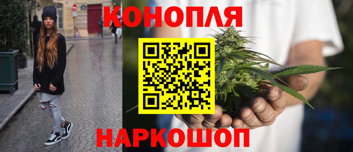 Бошки Шишки семена Ялуторовск